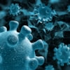 International team led by CEU USP uncovers a previously unknown immune signalling mechanism - 18250