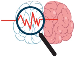 Un mecanismo cerebral podría explicar por qué la obesidad favorece el deterioro cognitivo