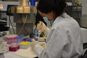 Las tres universidades CEU lanzan un programa de ayudas conjunto para investigadores de la Escuela de Doctorado con el apoyo del Banco Santander