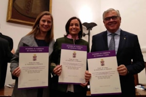 La Academia de Farmacia de Castilla y León premia un trabajo de Nutrición 