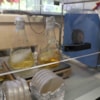 IMG210220181152084052