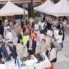 IMG23062015102918273