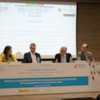 VII Conferencia CG_María Álvarez, Antonio Calvo, JM Marín Quemada, JL Piñar