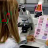 Profesora microscopio pruebas histologicas