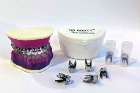 Endodoncia dientes impresion 3D