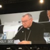 Eminencia Cardenal Parolin