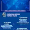 infografia fake news CEU USP