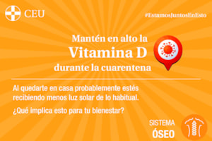 ¿Cómo suplir la ausencia de luz solar?