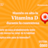 Infografia vitamina D CEU USP