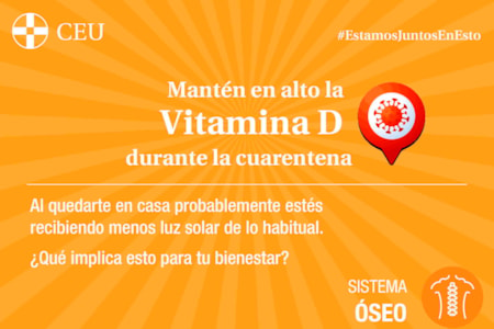 Infografia vitamina D CEU USP
