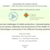 Presentacion Online CEU Tesis Doctoral